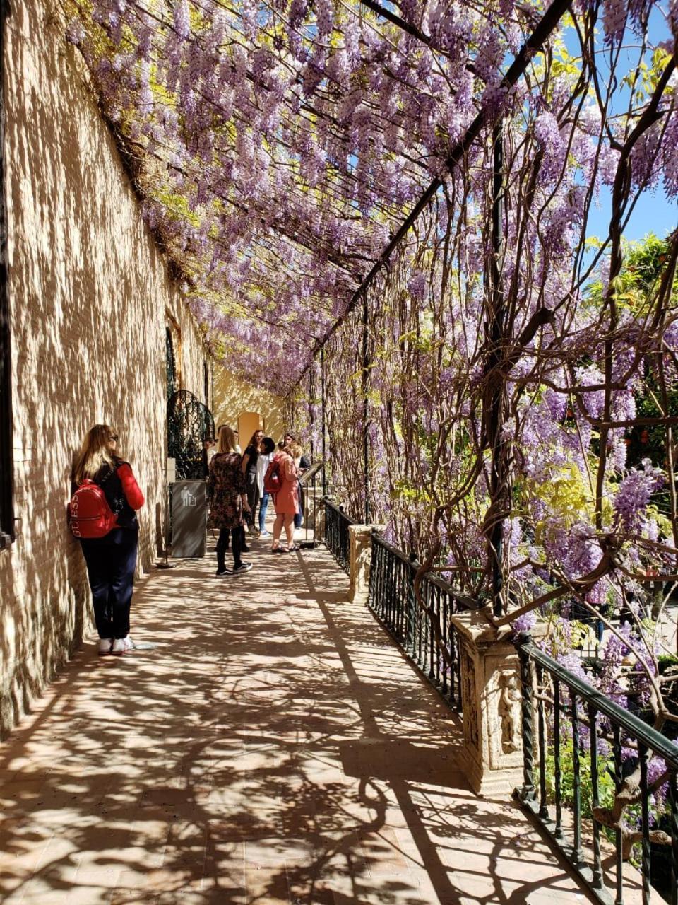 Apartamento Jardin De Santa Paula Sevilla Exterior foto